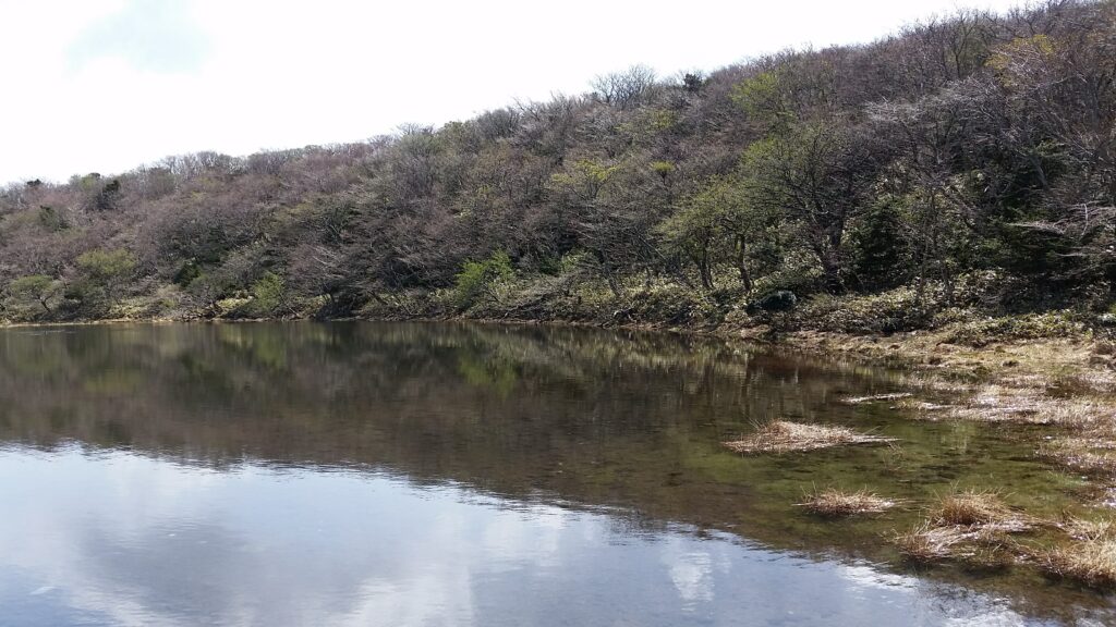 제주도의 화산 지형과 에메랄드빛 바다가 어우러진 해안 풍경