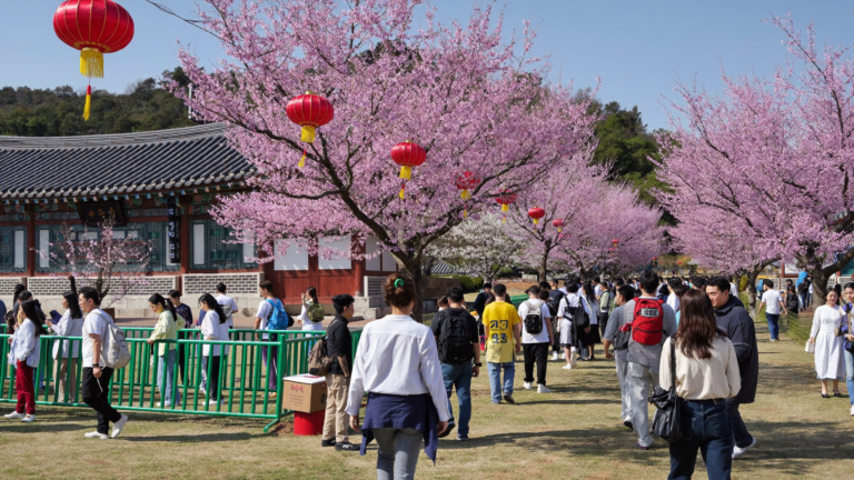 한국의 사계절 축제: 봄꽃부터 겨울 눈축제까지